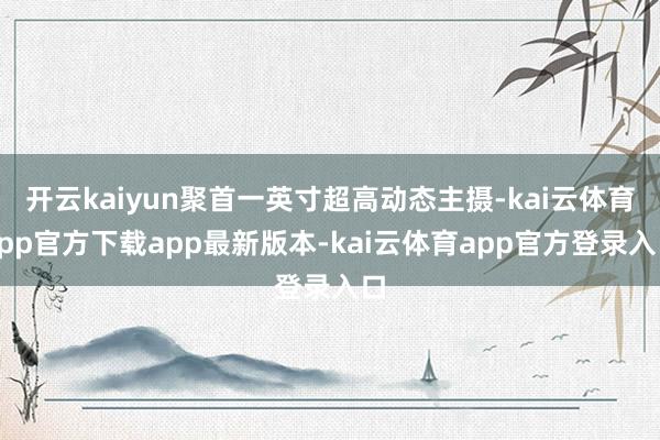 开云kaiyun聚首一英寸超高动态主摄-kai云体育app官方下载app最新版本-kai云体育app官方登录入口