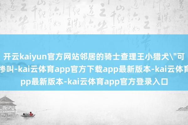 开云kaiyun官方网站邻居的骑士查理王小猎犬＂可可＂在玫瑰丛中的惨叫-kai云体育app官方下载app最新版本-kai云体育app官方登录入口