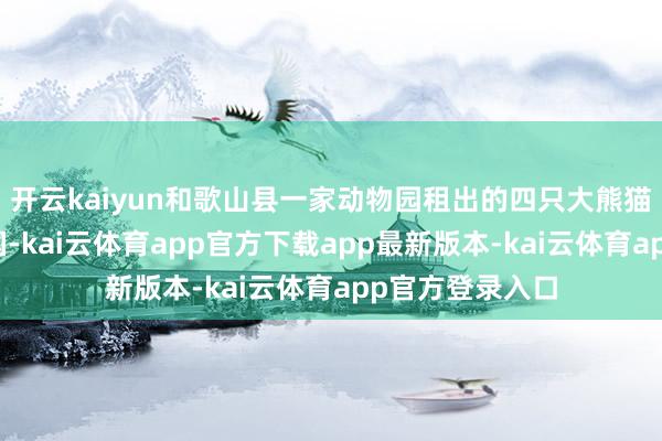 开云kaiyun和歌山县一家动物园租出的四只大熊猫一王人回到中国-kai云体育app官方下载app最新版本-kai云体育app官方登录入口